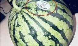 晋江网红吃瓜,揭秘娱乐圈背后的秘密